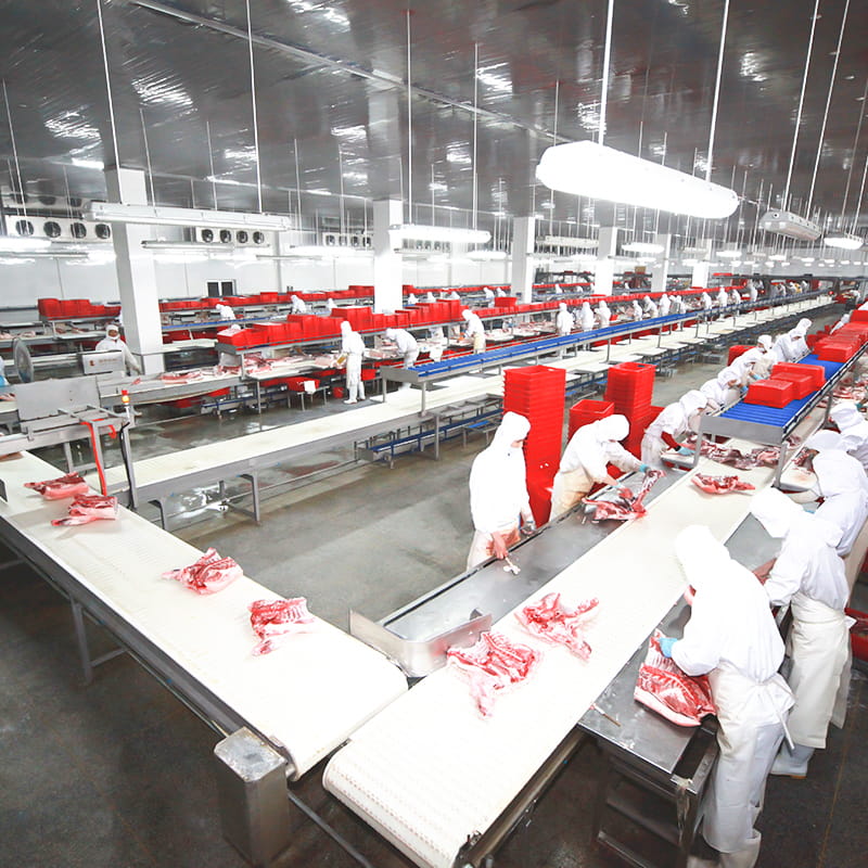 A linha de abate de carne: uma jornada precisa de fazenda a mesa